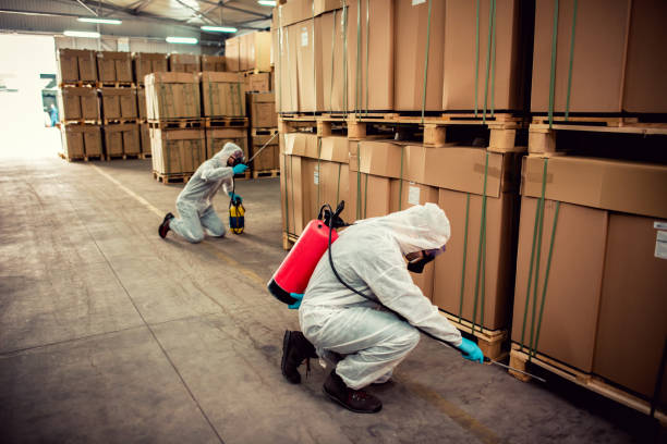 Best Affordable Pest Control Services  in Kountze, TX
