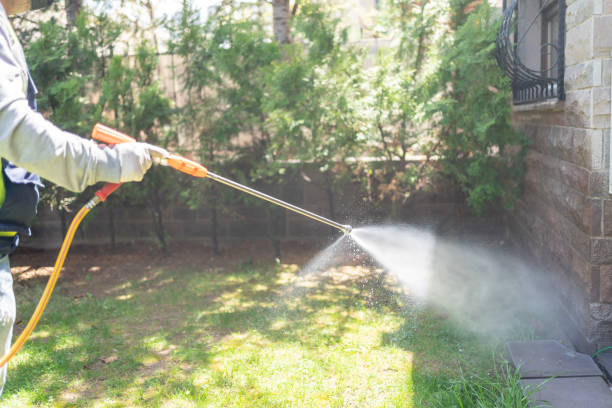 Best Mosquito Control Services  in Kountze, TX