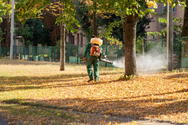 Best Mosquito Control Services  in Kountze, TX
