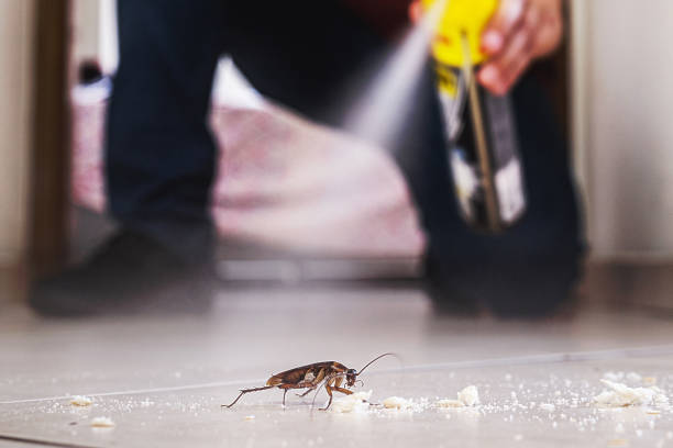 Best Exterminator Services  in Kountze, TX