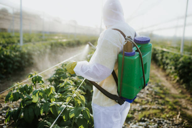 Pest Control for Restaurants in Kountze, TX